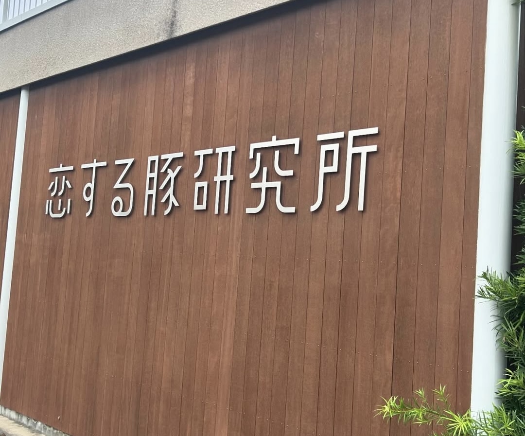 恋する豚研究所