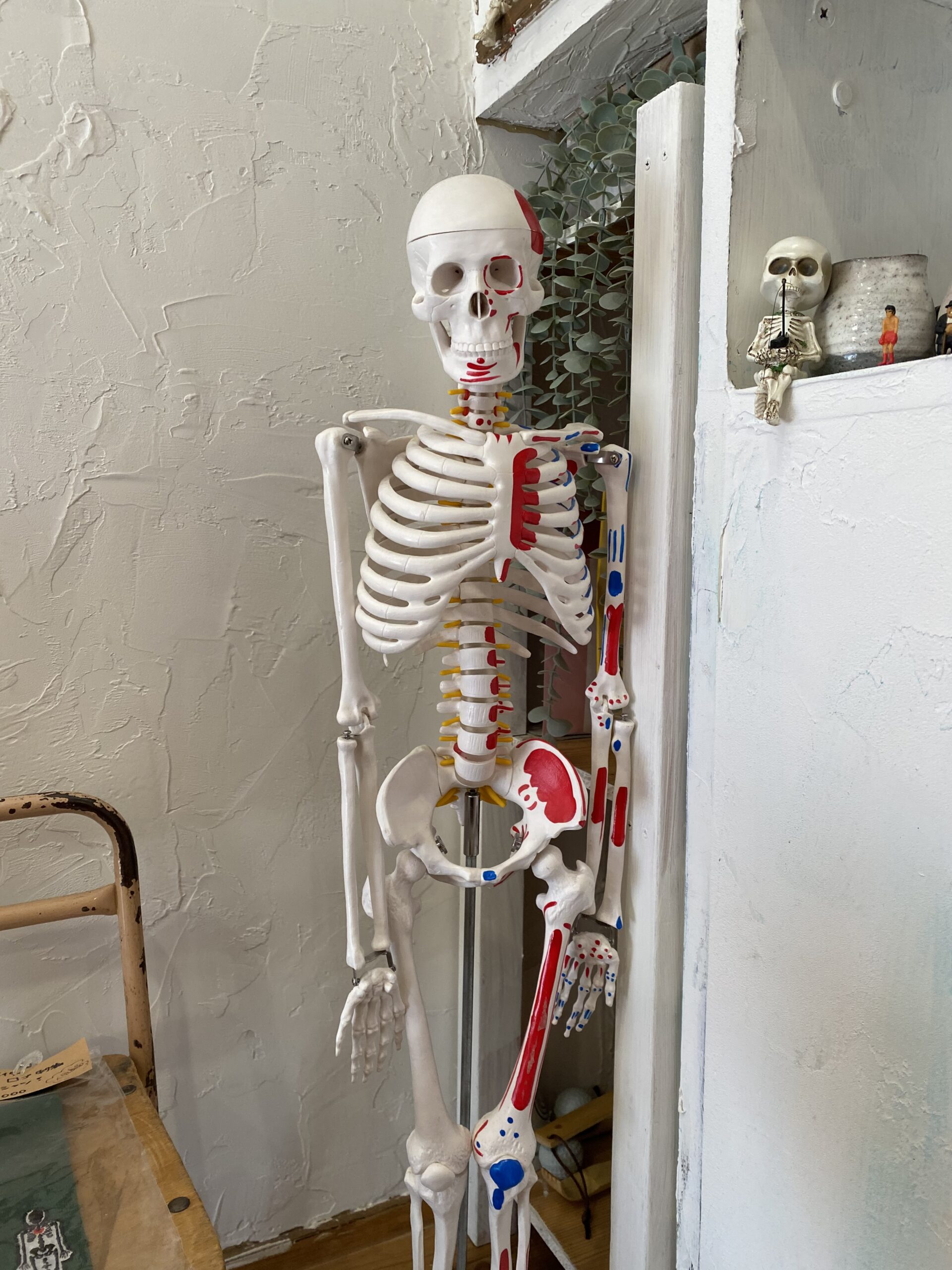 今週も健やかに