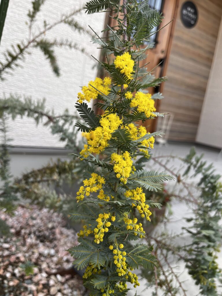 3.28 鍼灸院 はりのひと（季節）