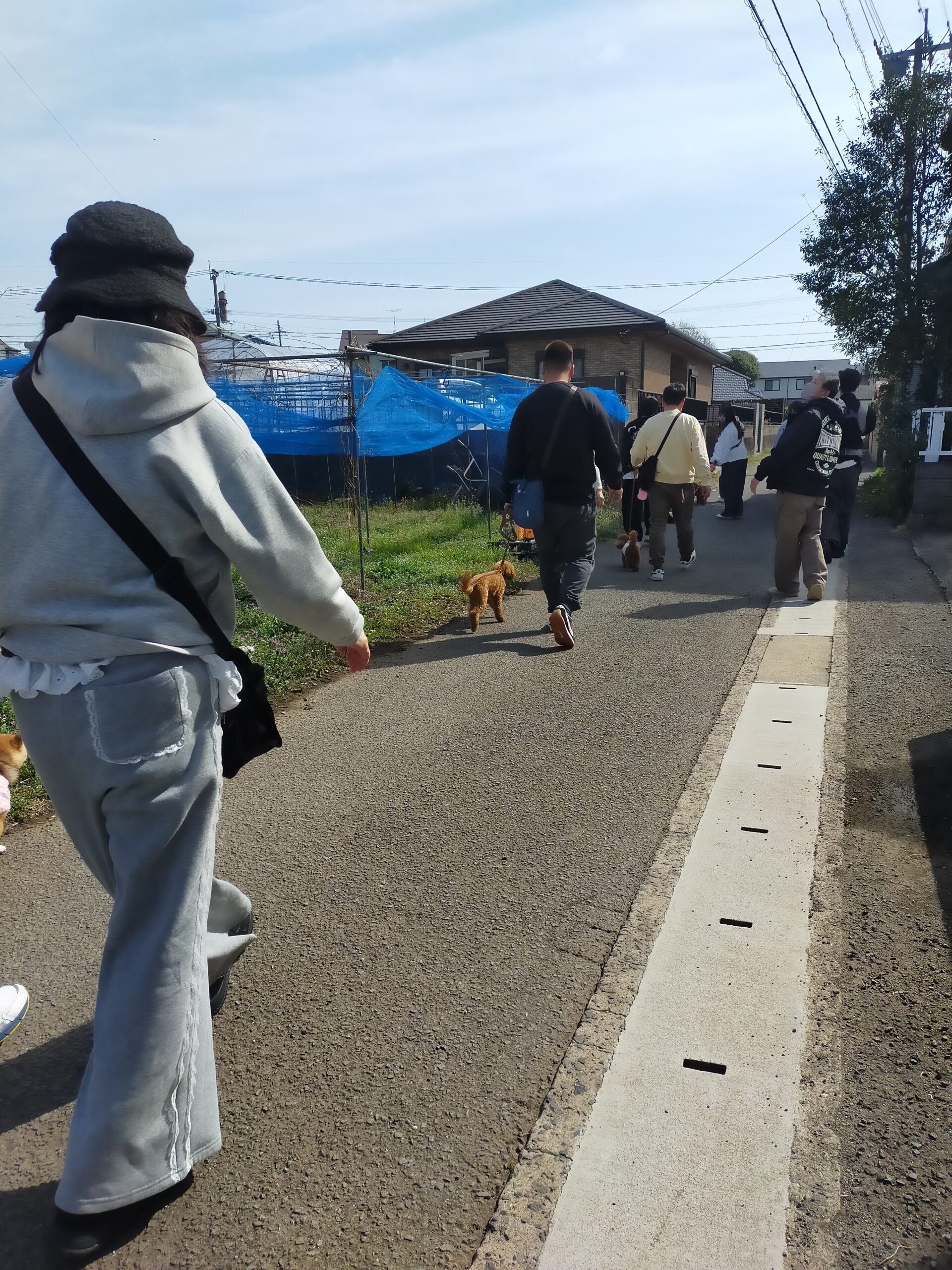 一歩ずつ、共に歩む喜び。心通わせるパックウォークのひととき