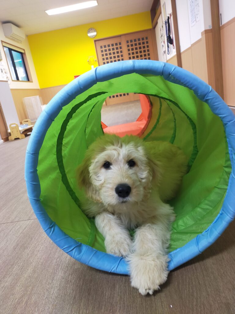 トンネルの向こうには、新しい世界と自信が待っています！