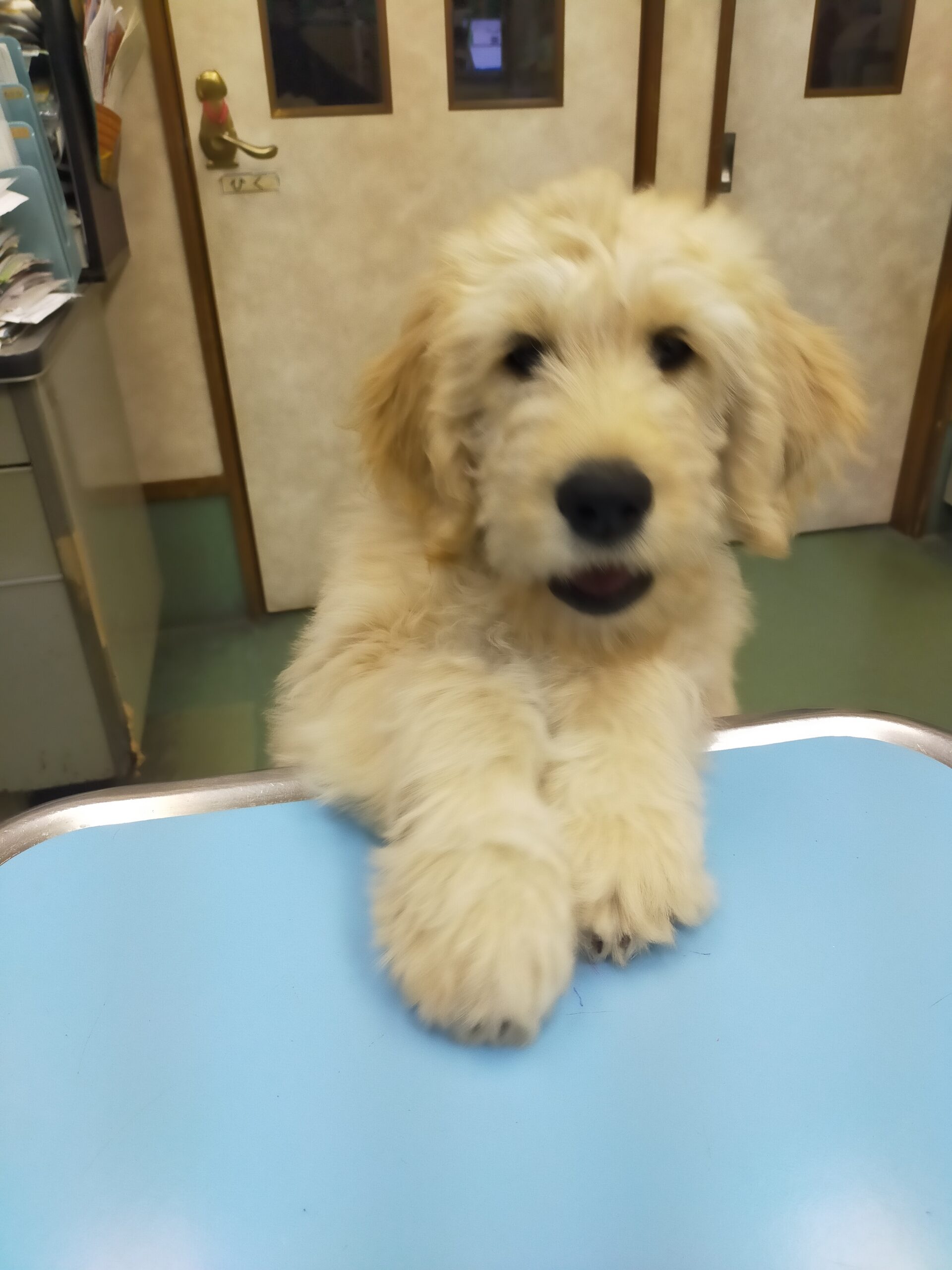 「できた！」の自信が、一生の安心につながります。