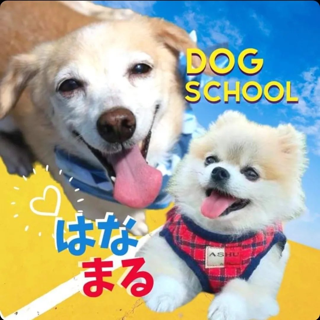 ワンちゃんの学校はなまる