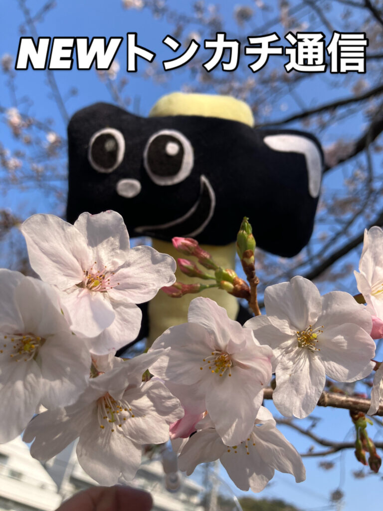 NEWトンカチ通信 3/29