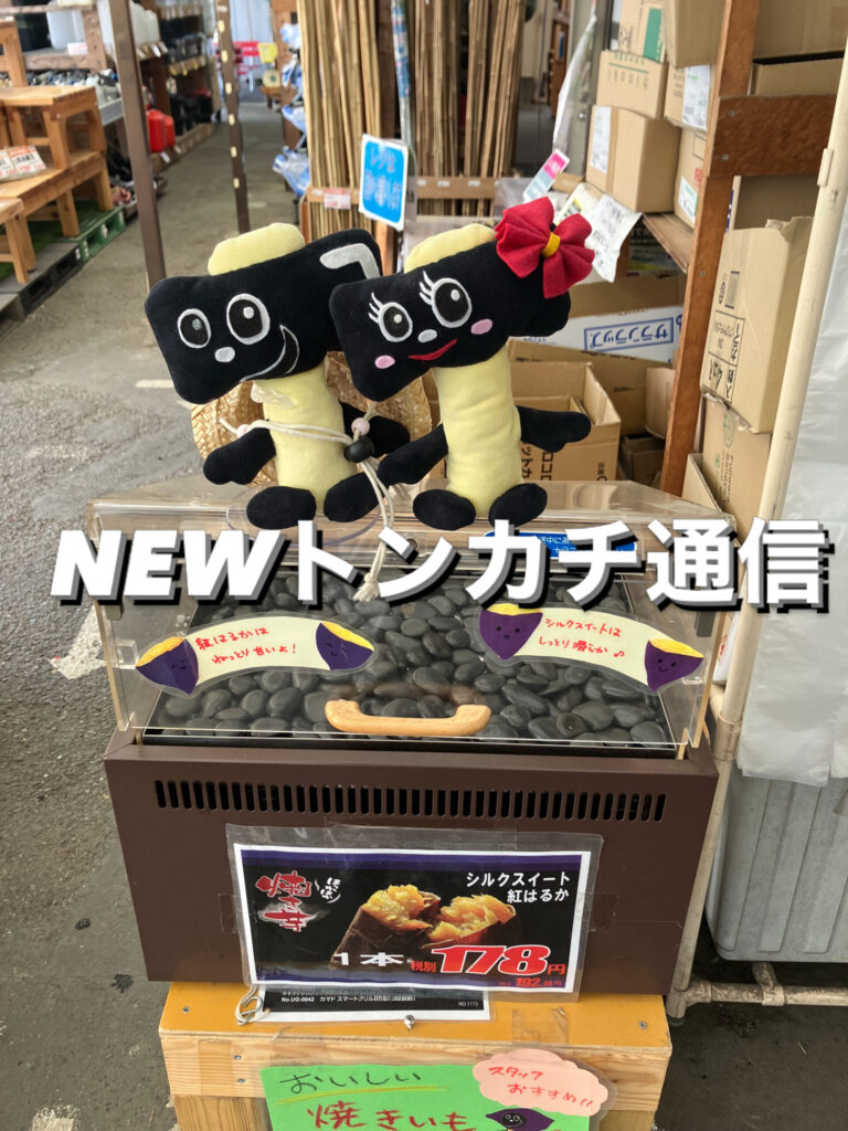 NEWトンカチ通信 3/17