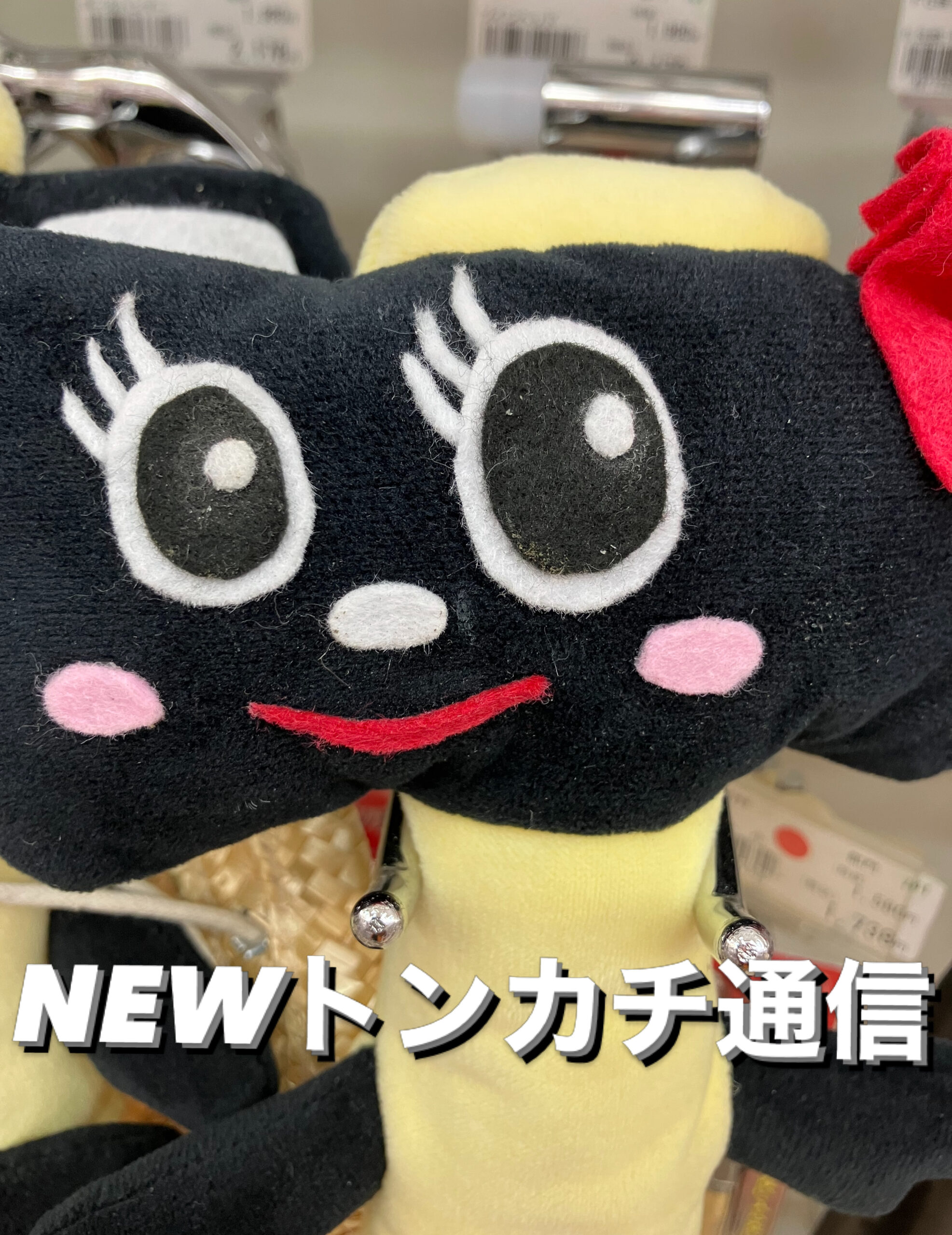 NEWトンカチ通信 3/26