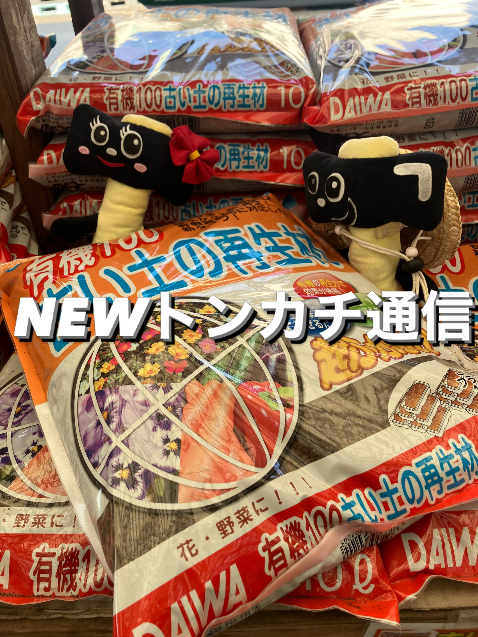 NEWトンカチ通信 3/18