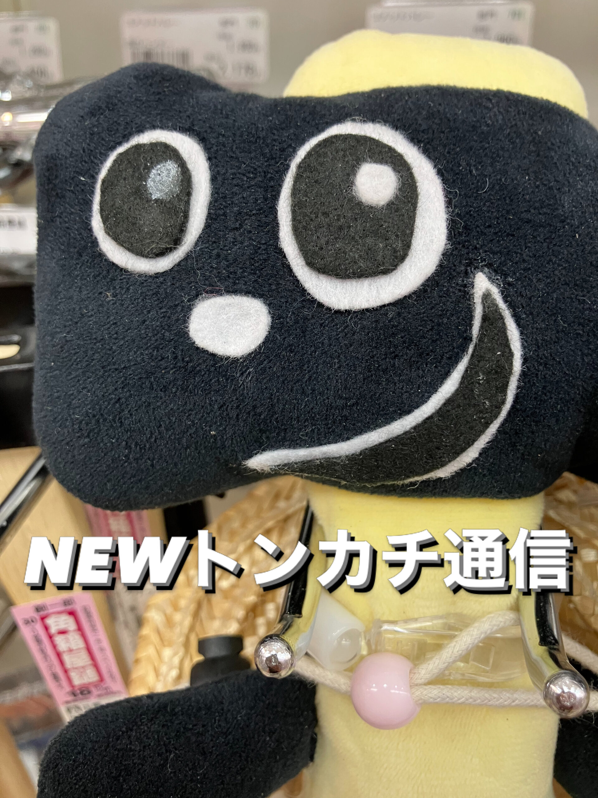 NEWトンカチ通信 3/20