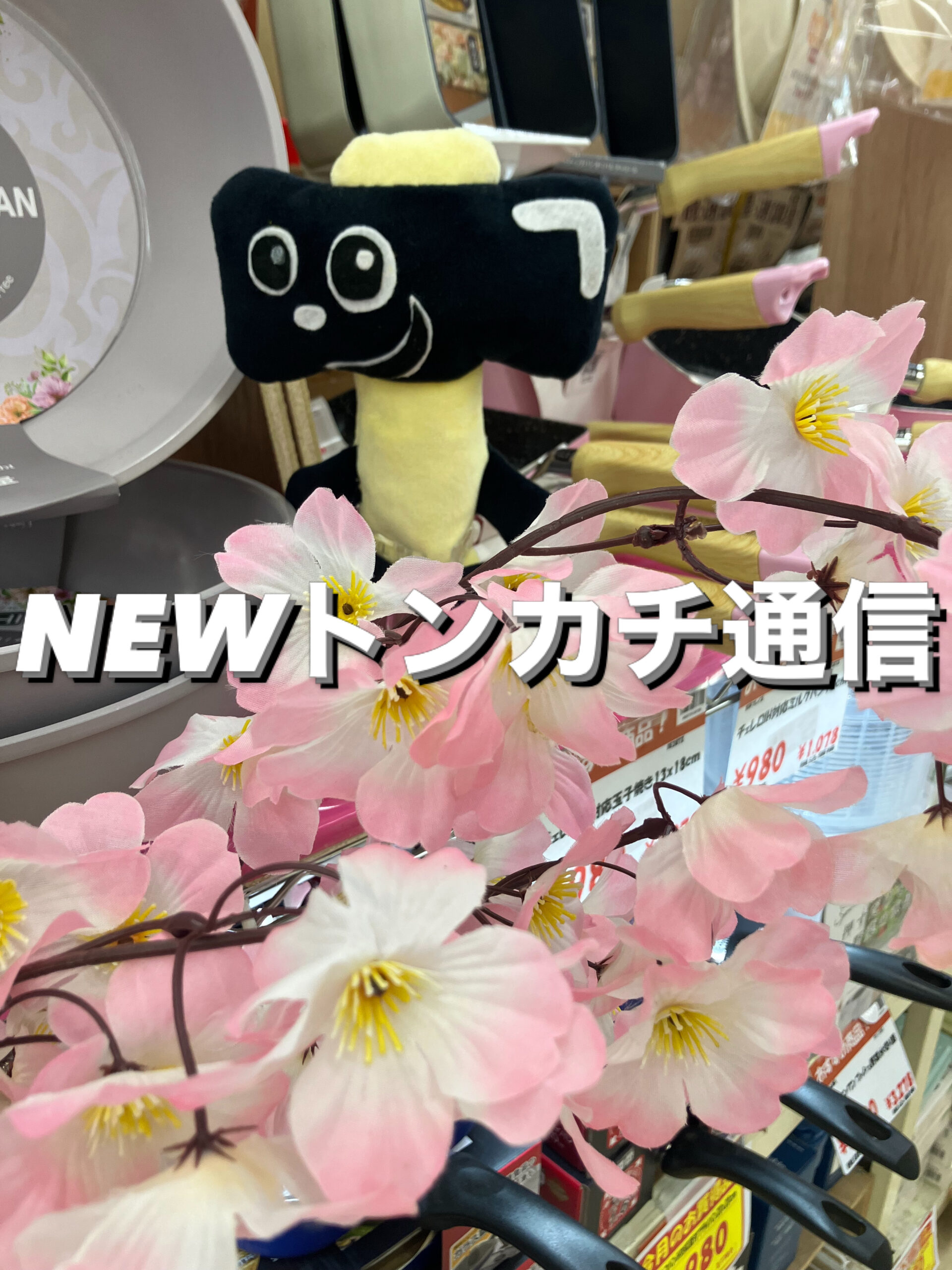 NEWトンカチ通信 3/31