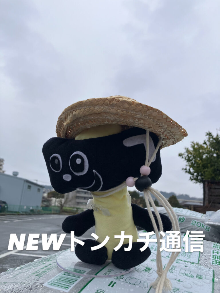 NEWトンカチ通信 3/23