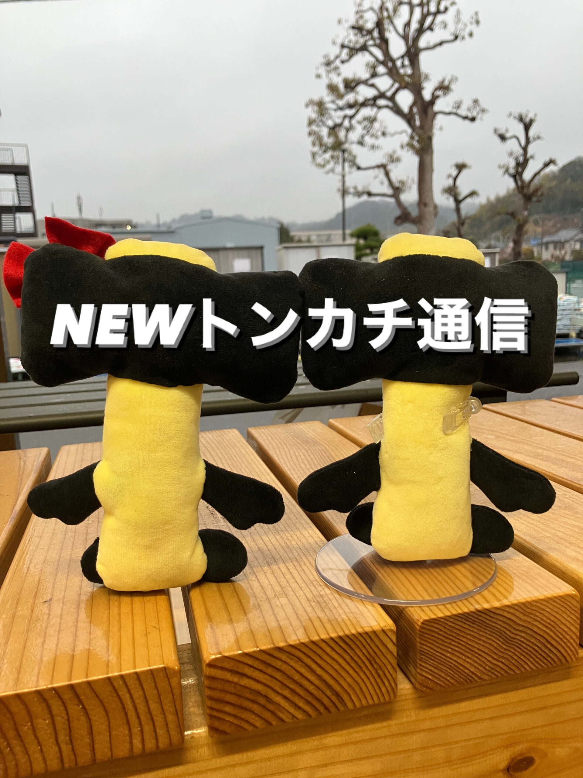 NEWトンカチ通信 3/19