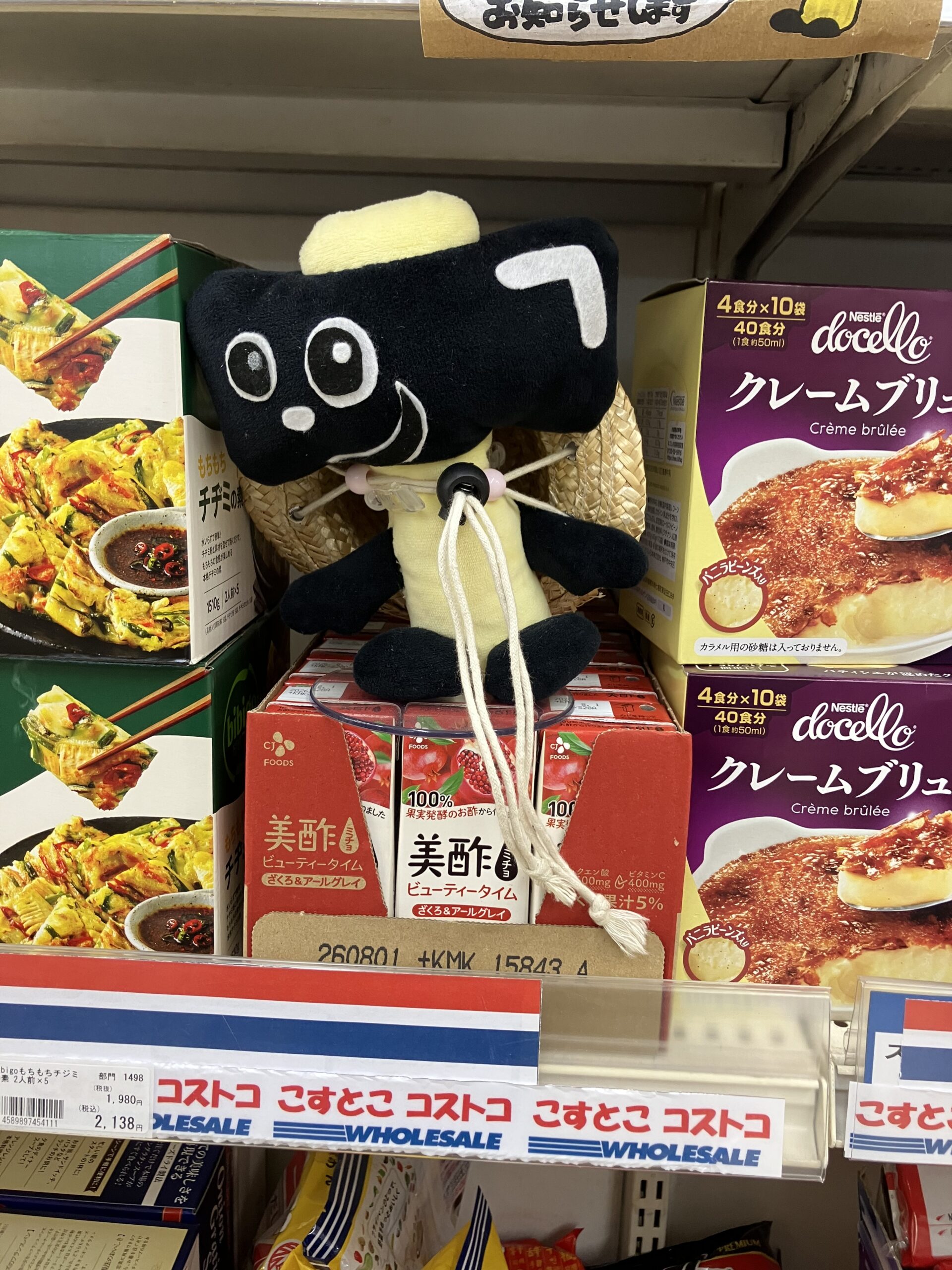 NEWトンカチ通信 3/9