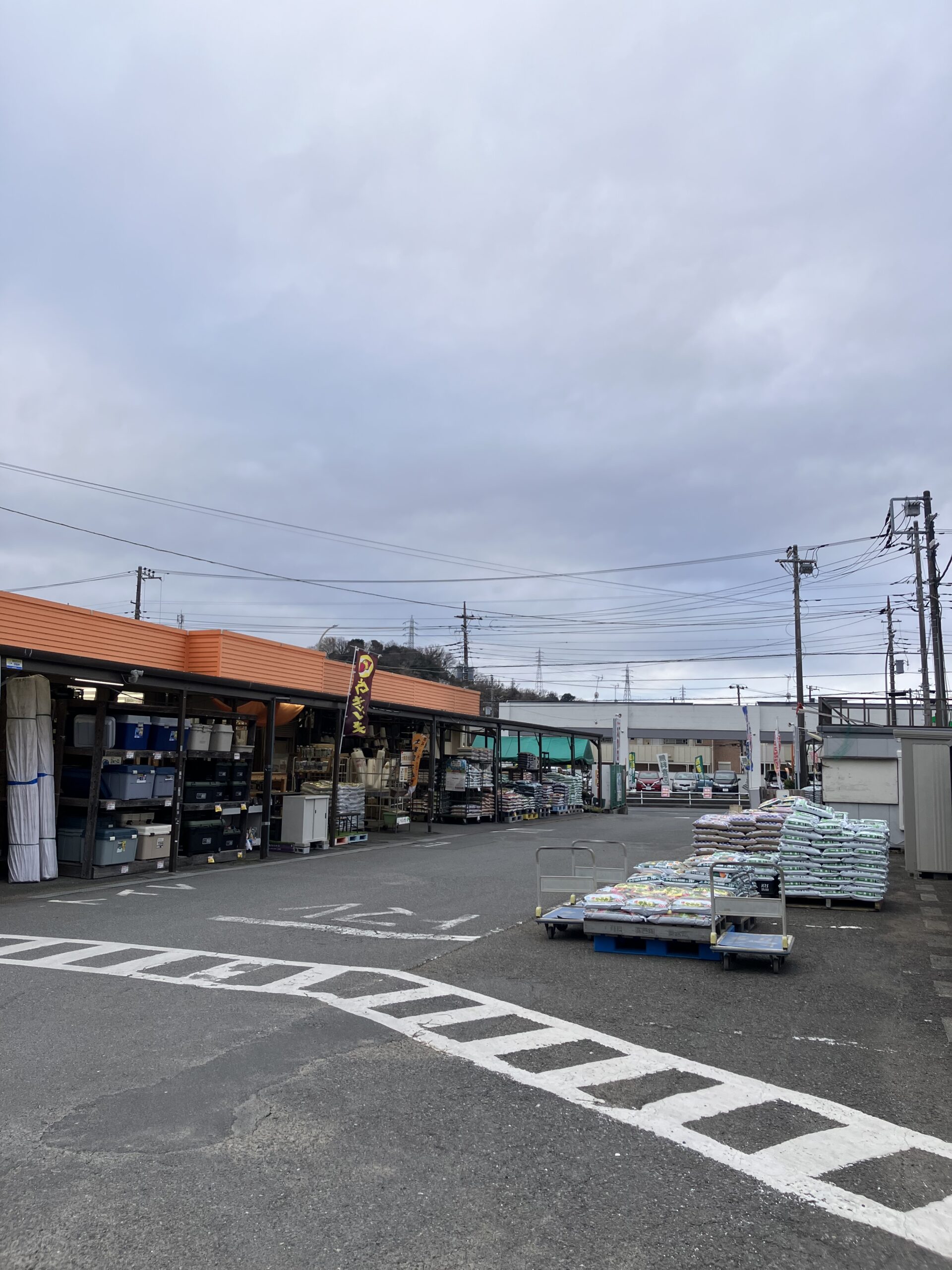 NEWトンカチ通信 3/10