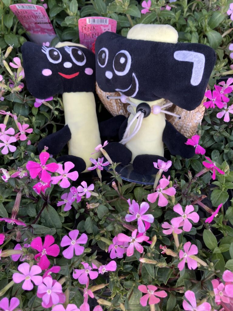 NEWトンカチ通信 3/11