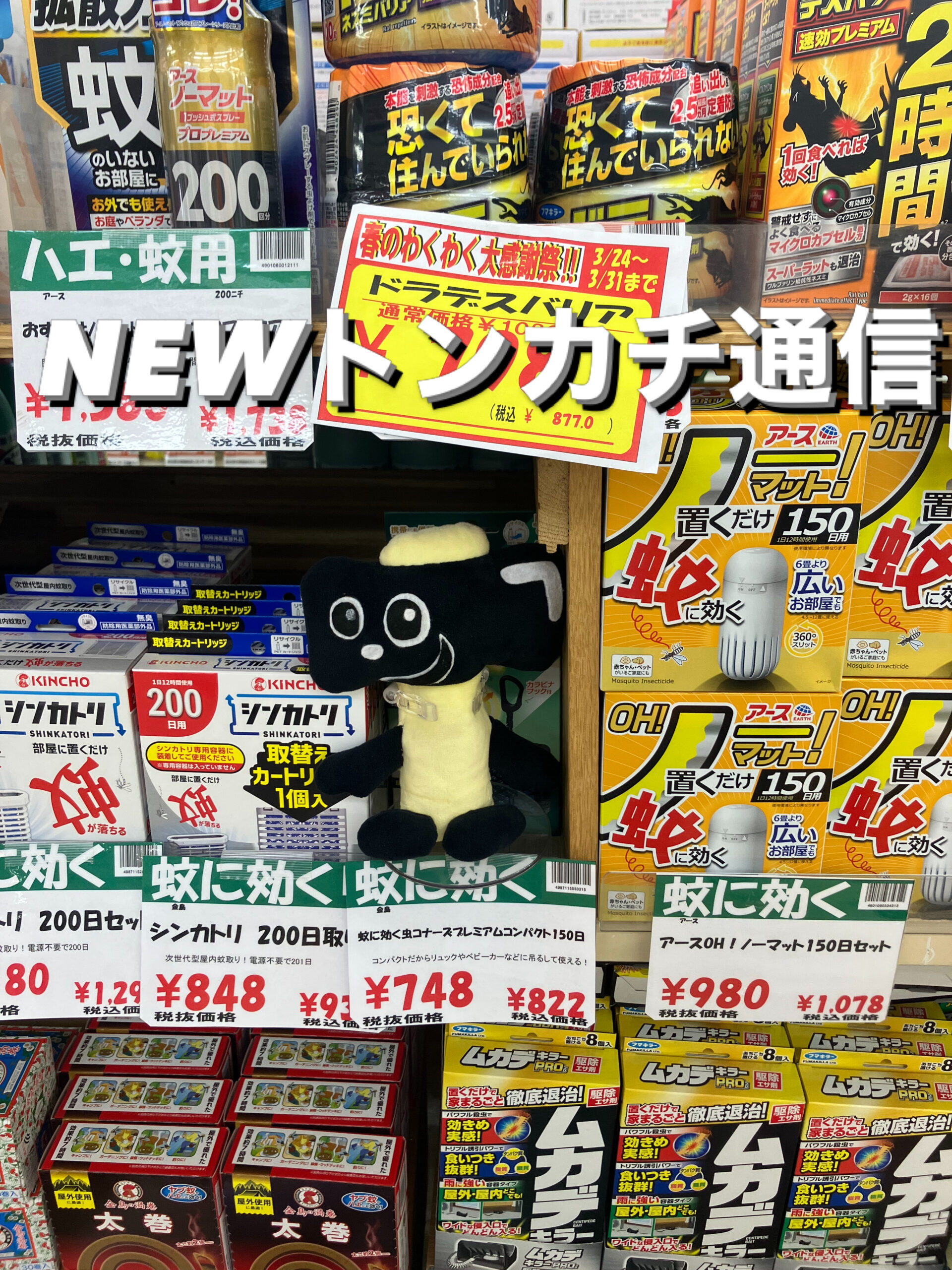 NEWトンカチ通信 4/3