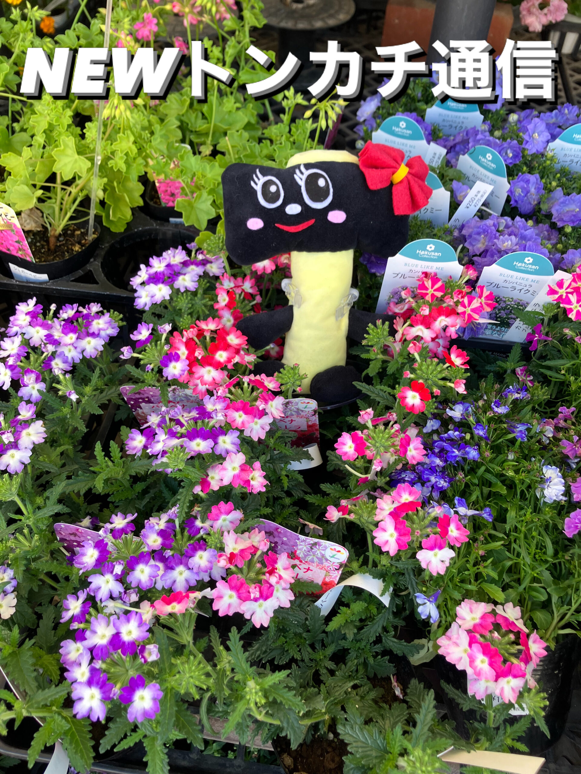 NEWトンカチ通信 4/1